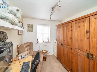 Picture 21